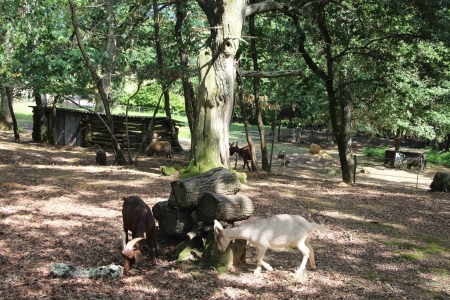 Image hebergement insolite PETITE YOURTE