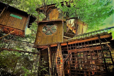 Image hebergement insolite LE VERTIGE DU TIGRE