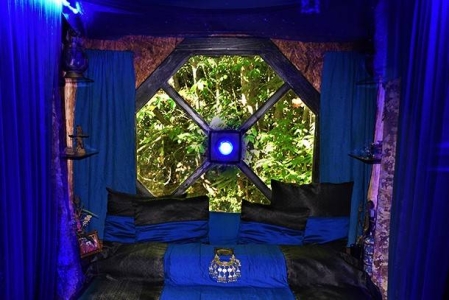 Image hebergement insolite LE VERTIGE DU TIGRE