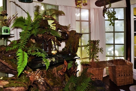 Image hebergement insolite LE VERTIGE DU TIGRE