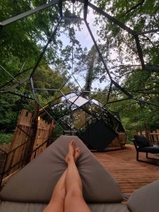 Image hebergement insolite LODGE QUERCUS & SPA