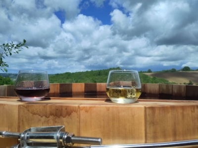 Image hebergement insolite LE TERRIER & SPA - DOMAINE LANGELET