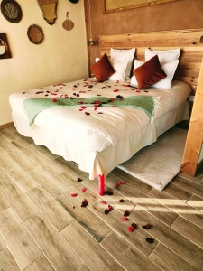 Image hebergement insolite LE TERRIER & SPA - DOMAINE LANGELET