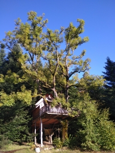 Image hebergement insolite CABANE COSY LE REPÈRE