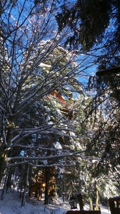 Image hebergement insolite CABANE COSY L'OBSERVATOIRE