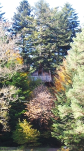 Image hebergement insolite CABANE COSY L'OBSERVATOIRE