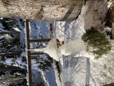 Image hebergement insolite CABANE DE LUXE L'AVANCÉE NATURE