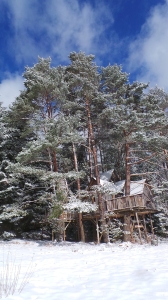 Image hebergement insolite CABANE COSY LA TOUR