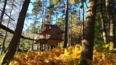 Image hebergement insolite CABANE COSY LA FUN
