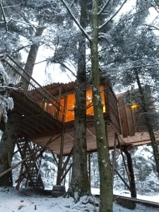 Image hebergement insolite CABANE COSY VISION
