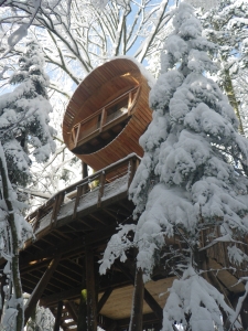 Image hebergement insolite CABANE DE LUXE FORÊT