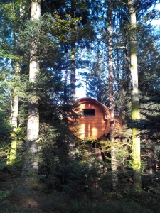 Image hebergement insolite CABANE DE LUXE FORÊT