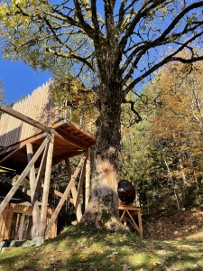 Image hebergement insolite VILLA FORET ET SPA