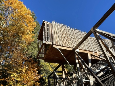 Image hebergement insolite CABANE DE LUXE FORÊT