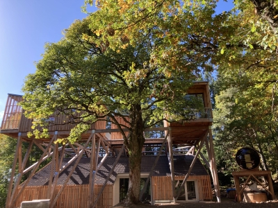 Image hebergement insolite CABANE DE LUXE FORÊT