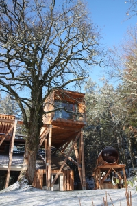 Image hebergement insolite CABANE DE LUXE FORÊT