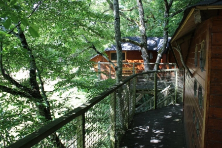 Image hebergement insolite CABANE DANS LES ARBRES (4 PERSONNES)