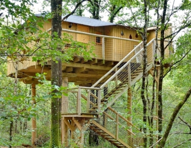 Image hebergement insolite MAISON DANS LES BRANCHES (6 PERSONNES)