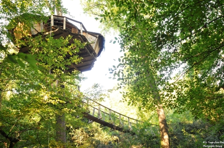 Image hebergement insolite CABANE AMAZONIE (2 PERSONNES)