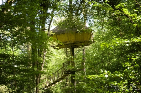 Image hebergement insolite CABANE AMAZONIE (2 PERSONNES)