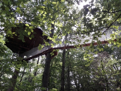 Image hebergement insolite CABANE DE LA CANOPÉE (3 PERSONNES)