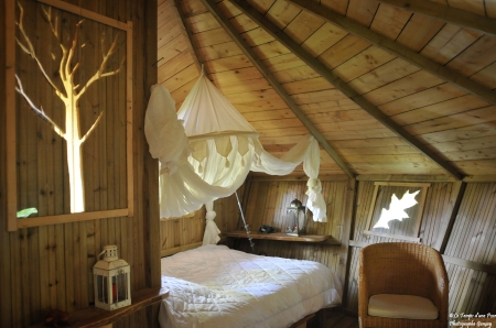 Image hebergement insolite CABANE DE LA CANOPÉE (3 PERSONNES)