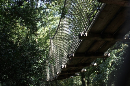 Image hebergement insolite CABANE DES BUIS (2 PERSONNES)