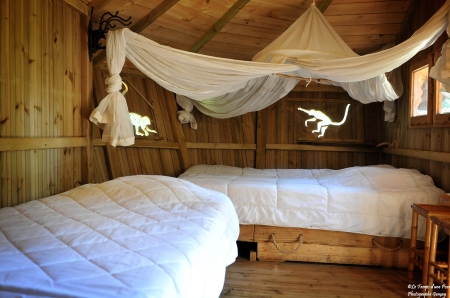 Image hebergement insolite CABANE DES OUISTITIS (6 PERSONNES)