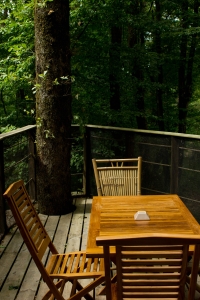 Image hebergement insolite CABANE DES CHIMPANZÉS (4 PERSONNES)