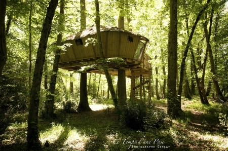 Image hebergement insolite CABANE DES CHIMPANZÉS (4 PERSONNES)