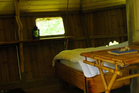 Image hebergement insolite CABANE DES CHIMPANZÉS (4 PERSONNES)