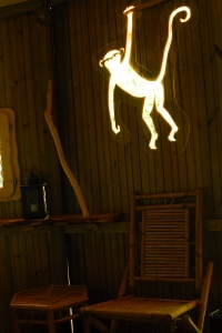 Image hebergement insolite CABANE DES CHIMPANZÉS (4 PERSONNES)