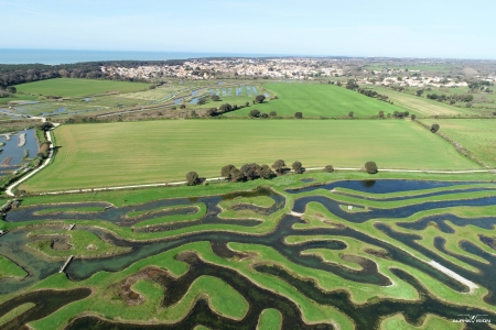 Image hebergement insolite L'ESSENTIEL - LOVE 85