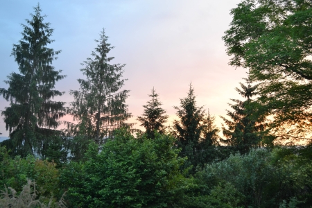 Image hebergement insolite GÎTE LE PARADIS DES ANIMAUX ET SA ROULOTTE DE CHARME
