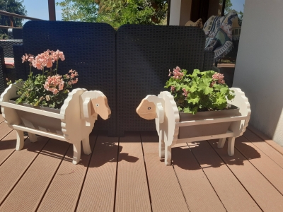 Image hebergement insolite GÎTE LE PARADIS DES ANIMAUX ET SA ROULOTTE DE CHARME