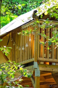 Image hebergement insolite TENTE LODGE ECUREUIL