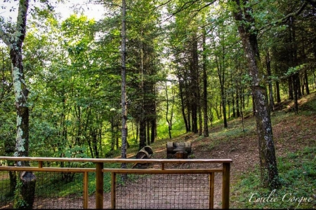 Image hebergement insolite TENTE LODGE RENARD 5 PERSONNES