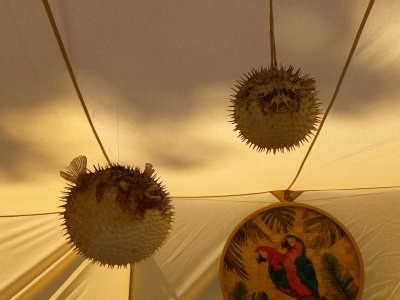 Image hebergement insolite TENTE TIKI