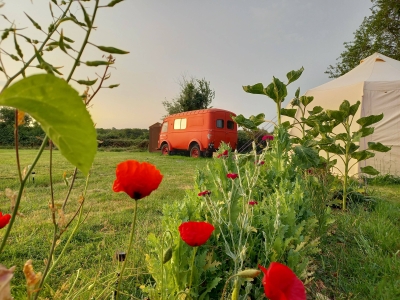 Image hebergement insolite BUS MAGIQUE AVEC TENTE GLAMPING 