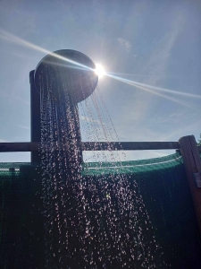 Image hebergement insolite BUS MAGIQUE AVEC TENTE GLAMPING 