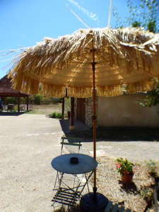 Image hebergement insolite LE NID