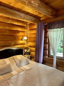 Image hebergement insolite CHALET EN RONDINS AVEC SPA ET CUISINE D'ETE