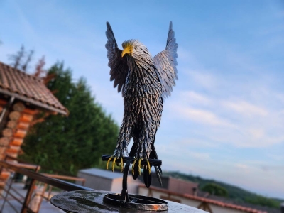 Image hebergement insolite CHALET EN RONDINS AVEC SPA ET CUISINE D'ETE