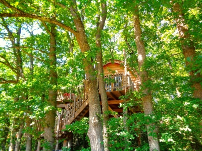 Image hebergement insolite CABANE BOUVREUILS