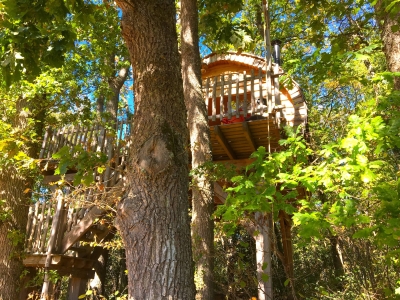 Image hebergement insolite CABANE BOUVREUILS