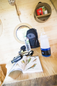 Image hebergement insolite CABANE RENARD