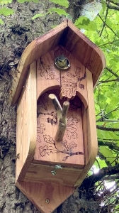 Image hebergement insolite CABANE RENARD