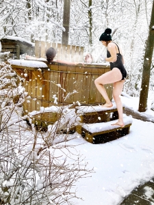 Image hebergement insolite CABANE RENARD