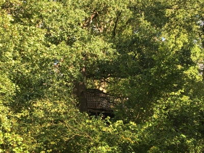 Image hebergement insolite CABANE &Eacute;CUREUIL