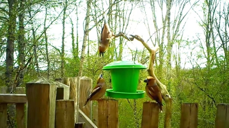 Image hebergement insolite CABANE LAPINOUX